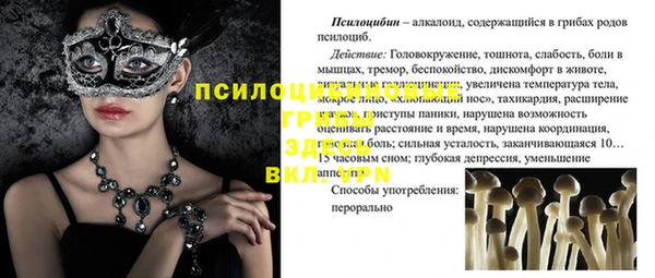 скорость Алзамай