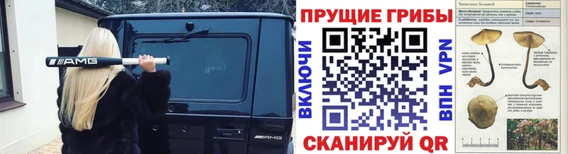 Галлюциногенные грибы ЛСД  мега зеркало  Приволжский 